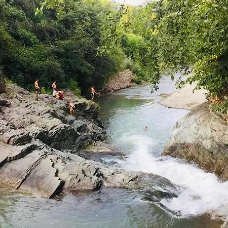 Bed & Breakfast Old Friend Sheshory